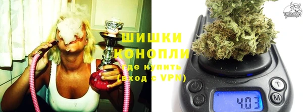 прущие грибы Нягань