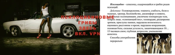 прущие грибы Нягань