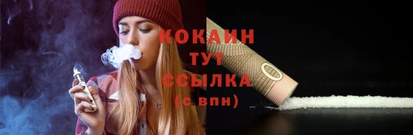 прущие грибы Нягань