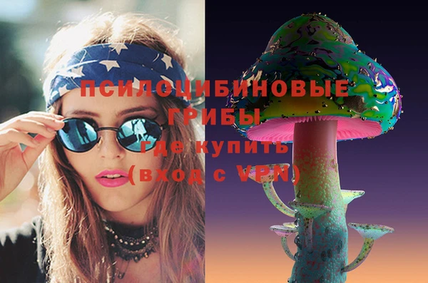 мдпв Куйбышев