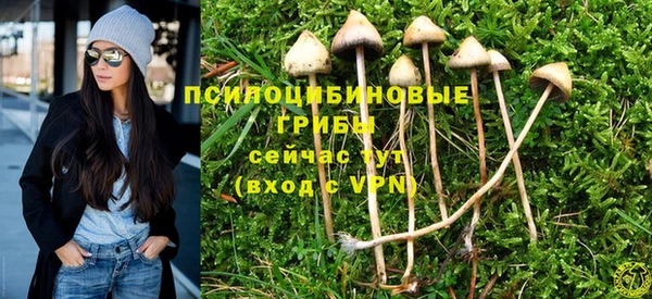 гашиш Нязепетровск