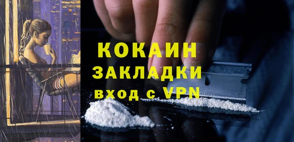 спайс Няндома